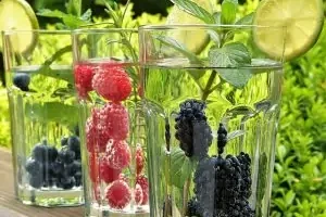 drinking glasses filled with water and fruit with a lime on top